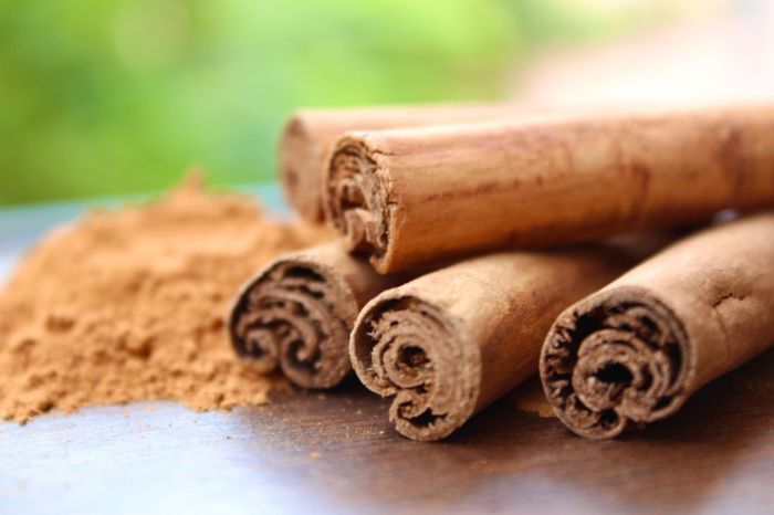 9 Cinnamon Essential Oil Benefits, Uses, And Side Effects 9 Cinnamon Essential Oil Benefits, Uses, And Side Effects