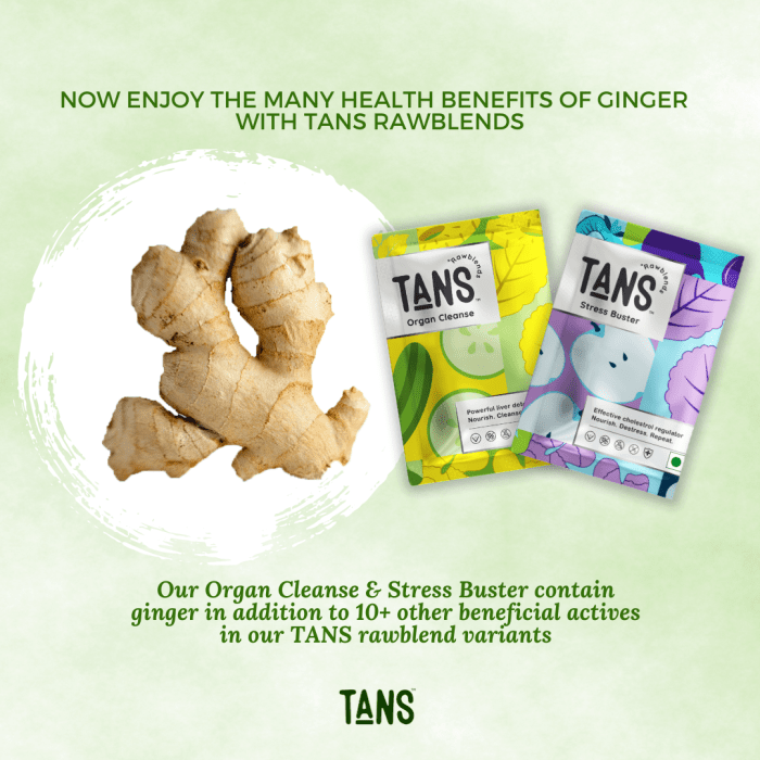 Dherbs on Instagram: “Originating from China, this flowering plant has ... Teh jahe kunyit serai sehat kita herbal