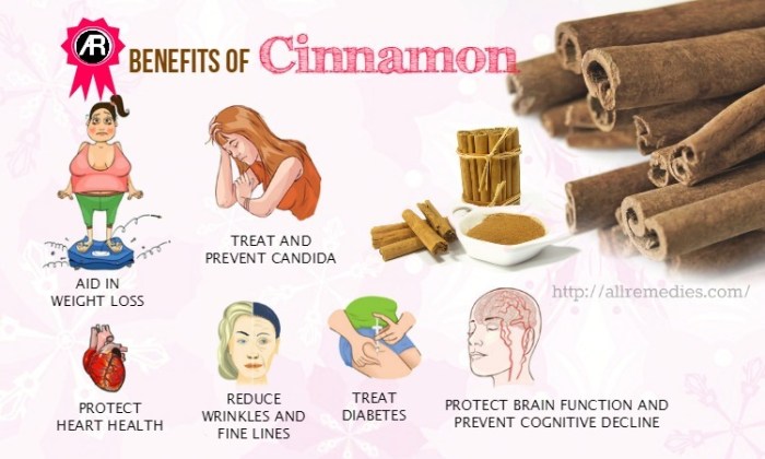 Cinnamon Kegunaan kayu manis