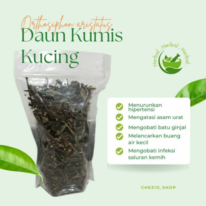 Jual Daun Kumis Kucing Kering Mengatasi Asam Urat, Batu Ginjal ...