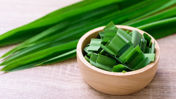 Health Benefits of Pandan Leaves Tea - RhymbaHillsTea.com