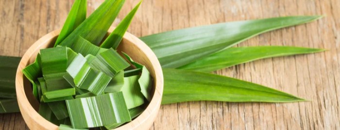 Pandan Leaves - 8 Best Health Benefits, Side Effects and Quick Recipes