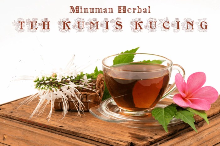 Teh Kumis Kucing! Begini Cara Membuat Minuman Herbal Teh Kumis Kucing ...