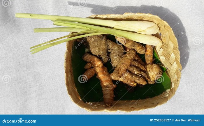 Teh jahe kunyit serai