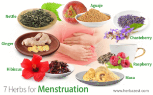 7 Herbs for ๎Menstruation๎ | HerbaZest