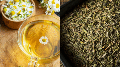 Memahami Perbedaan Teh Herbal dan Teh Hijau