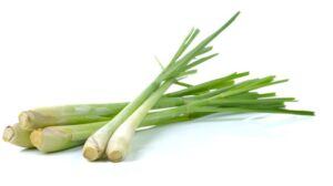 Premium AI Image | Lemongrass isolated on white background