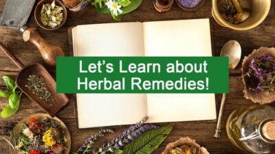 Teh Herbal Alami untuk Diet Sehat dan Bertenaga