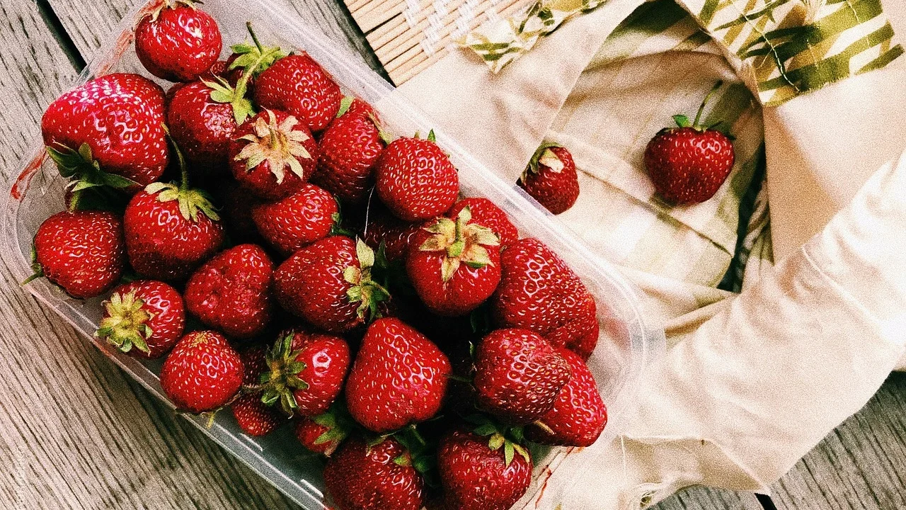 Manfaat Madu Untuk Kesehatan Secara Umum