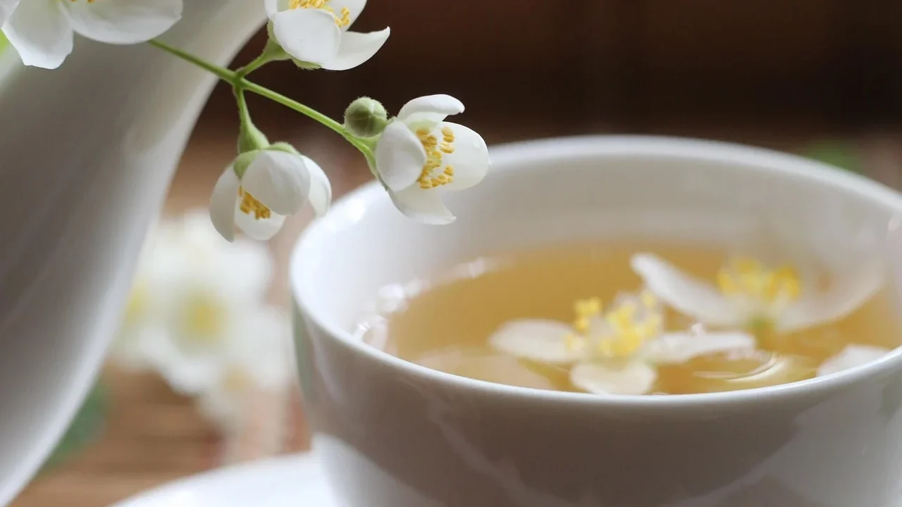 Resep Herbal Dan Ramuan Tradisional Sipilis Yang Umum Digunakan
