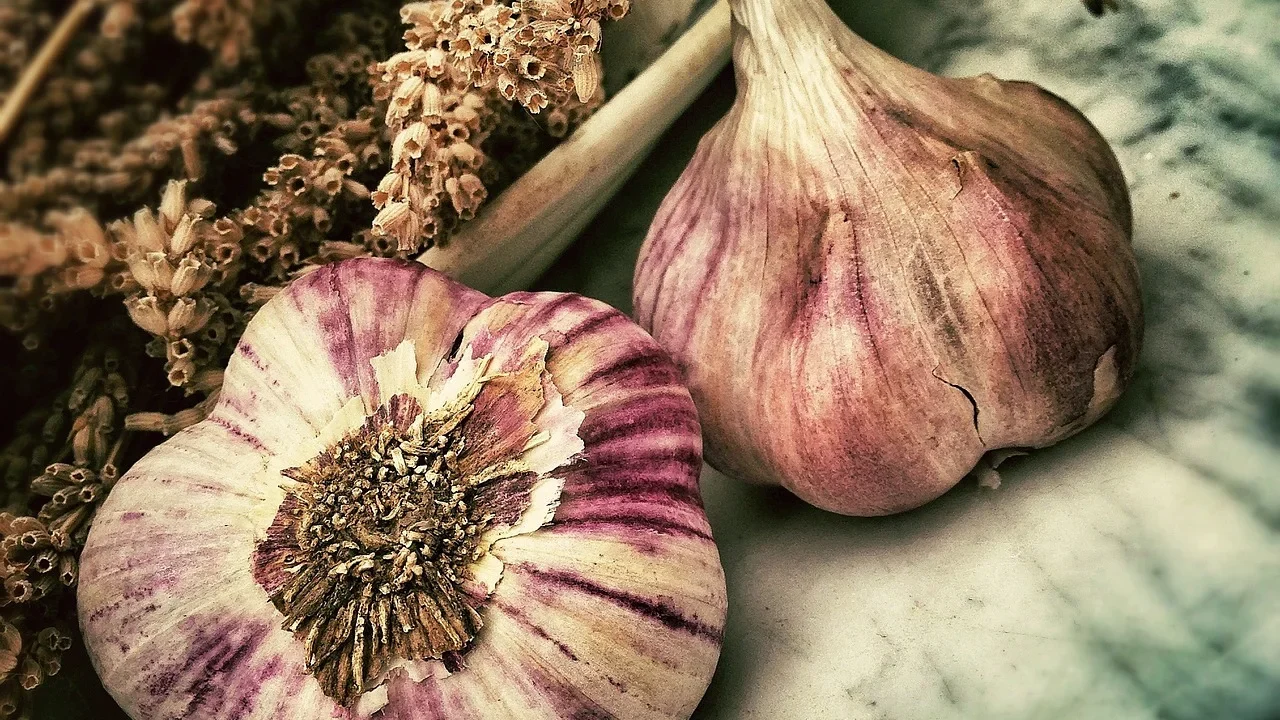 Bawang Putih Sebagai Obat Panu: Panduan Lengkap Dan Efektif
